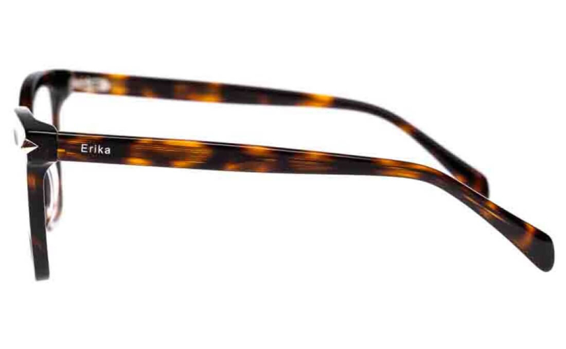 ERIKA A22818 - C2 - 2