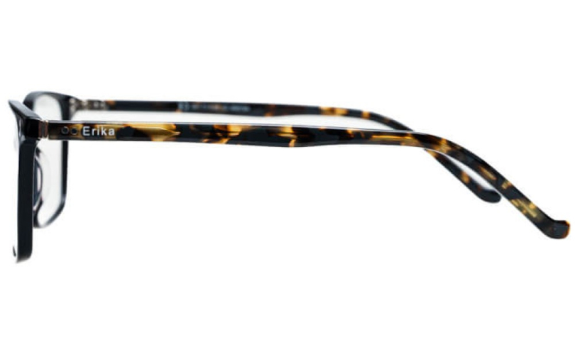 ERIKA A21509 - C3 - 2