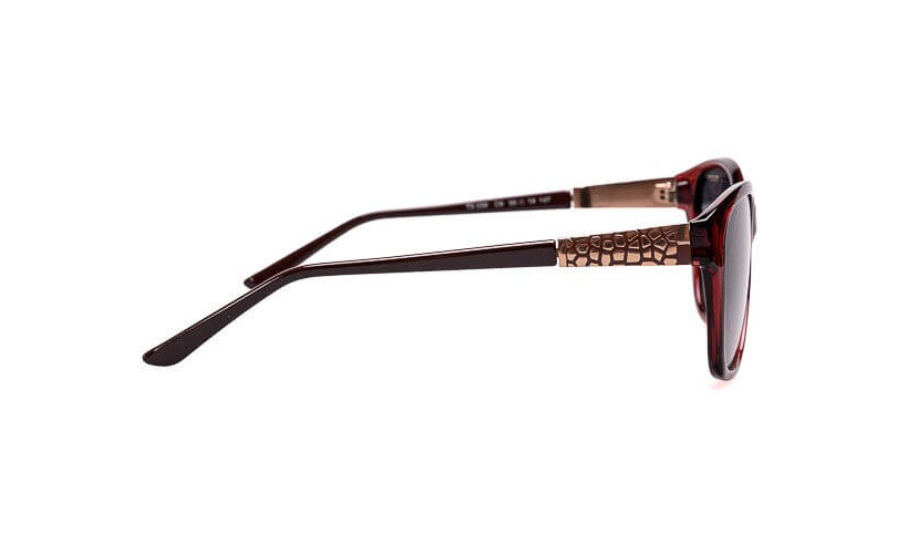 POLARD TS039 - C8 - 2 - Skyoptic.gr POLARD TS039 - C8 - 2