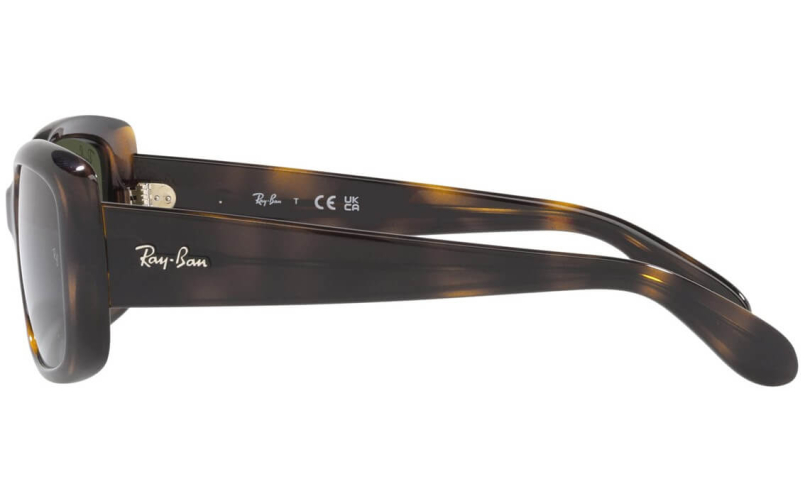 RAY-BAN RB4389 - 710/31 - 2