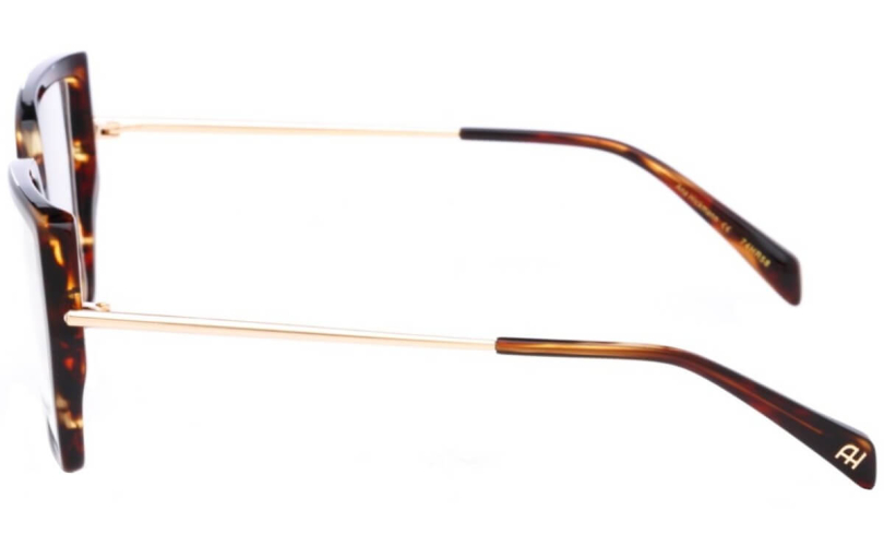 ANA HICKMANN AH6610 - E01 - 2