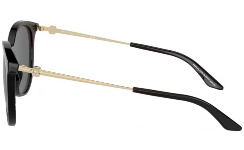 ARMANI EXCHANGE AX4140S - 815887 - 2 - Skyoptic.gr ARMANI EXCHANGE AX4140S - 815887 - 2