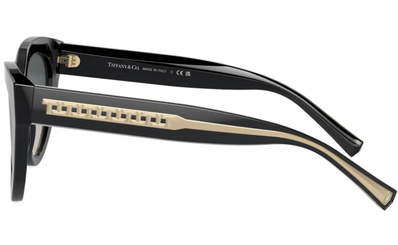 TIFFANY & CO. TF4220 - 800171 - 2 - Skyoptic.gr TIFFANY & CO. TF4220 - 800171 - 2