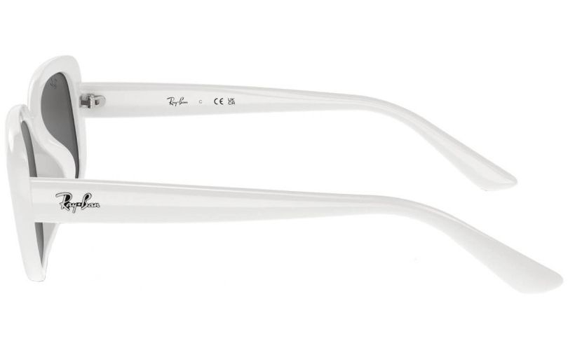 RAY-BAN RB4421D - 677287 - 2