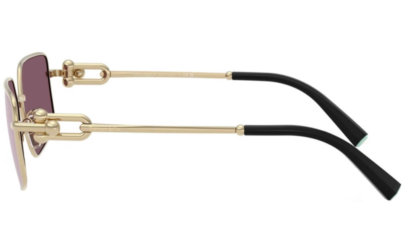 TIFFANY & CO. TF3111 - 6194AK - 2 - Skyoptic.gr TIFFANY & CO. TF3111 - 6194AK - 2