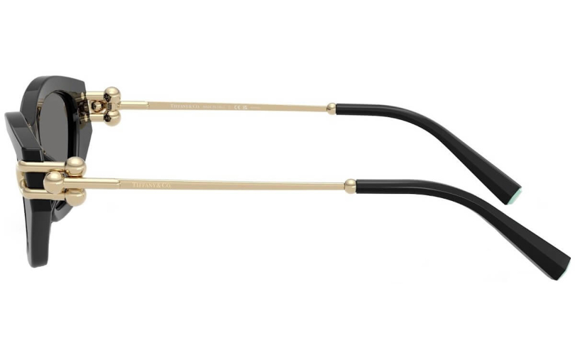 TIFFANY & CO. TF4231U - 800181 - 2