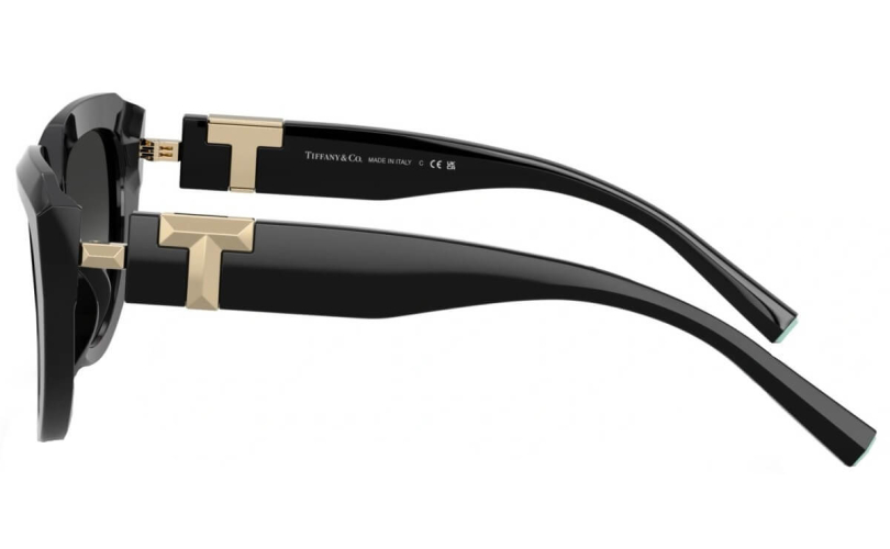 TIFFANY & CO. TF4238U - 80013C - 2