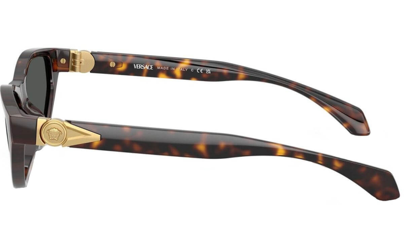 VERSACE VE4491U - 108/87 - 2