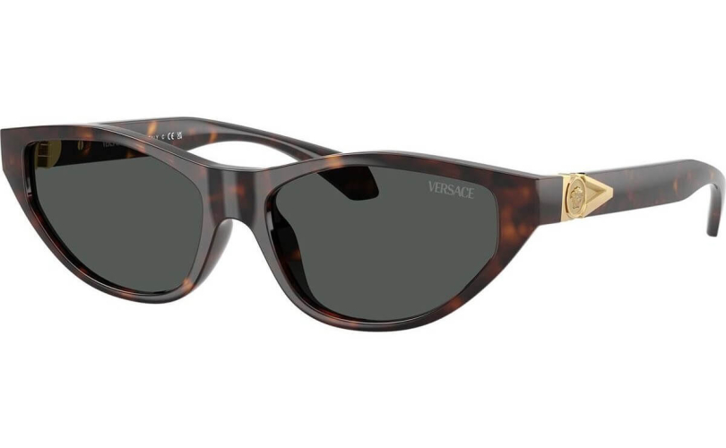 VERSACE VE4491U - 108/87