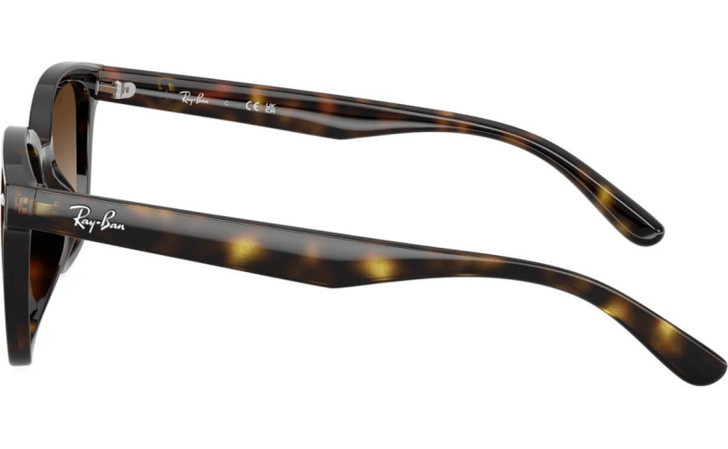 RAY-BAN RB4461D - 710/13 - 2