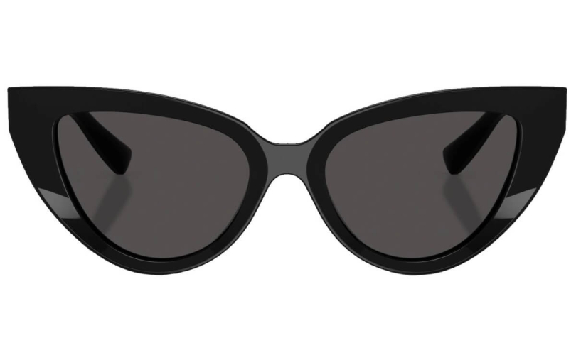 DOLCE & GABBANA DG4497 - 501/87 - 3