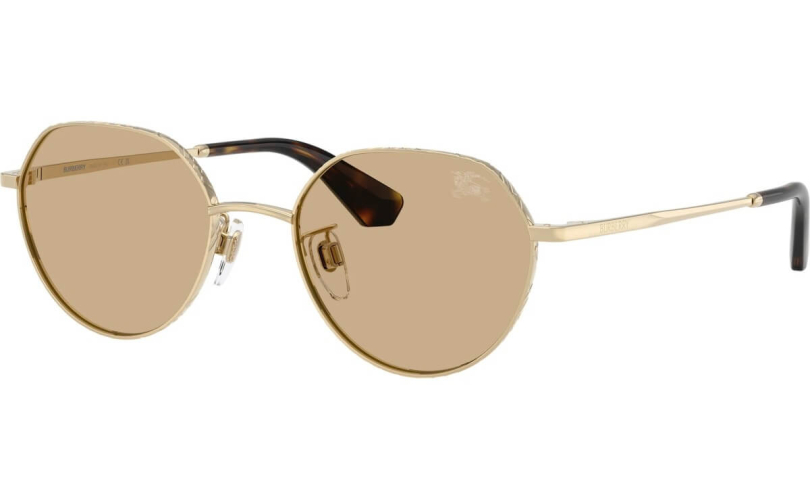 BURBERRY BE3173D - 110973 - 1