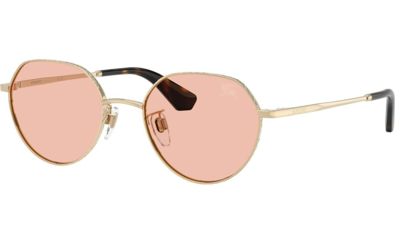 BURBERRY BE3173D - 110984 - 1
