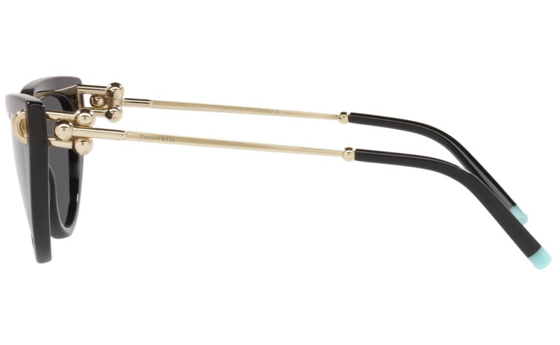 TIFFANY & CO. TF4195 - 8001S4 - 2 - Skyoptic.gr TIFFANY & CO. TF4195 - 8001S4 - 2