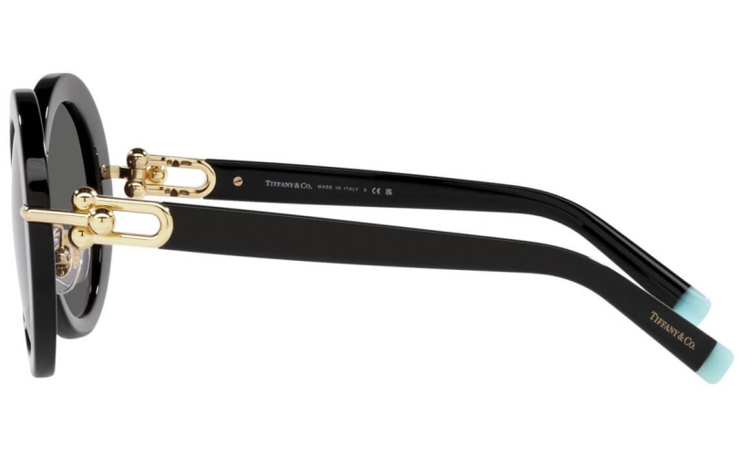 TIFFANY & CO. TF4201 - 8001S4 - 2 - Skyoptic.gr TIFFANY & CO. TF4201 - 8001S4 - 2