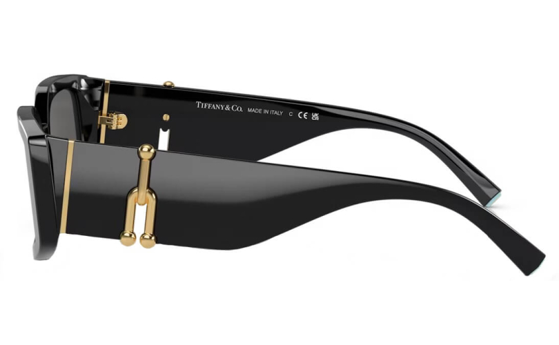 TIFFANY & CO. TF4208U - 8001S4 - 2