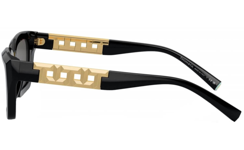 TIFFANY & CO. TF4213 - 8001S4 - 2 - Skyoptic.gr TIFFANY & CO. TF4213 - 8001S4 - 2