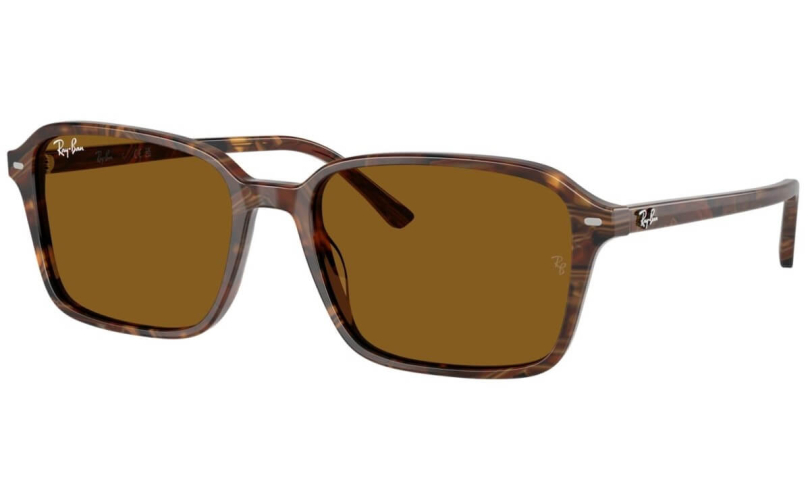 RAY-BAN RB2231 - 141833 - 1