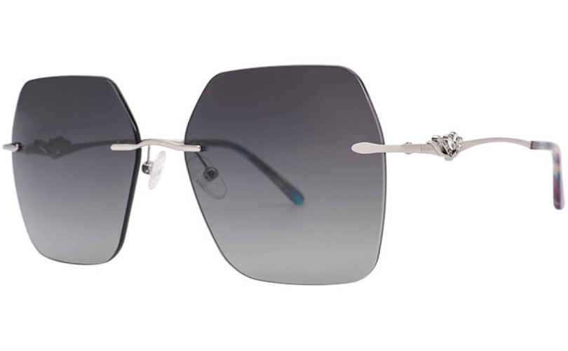 POLARD TS5002 - C2 - 1