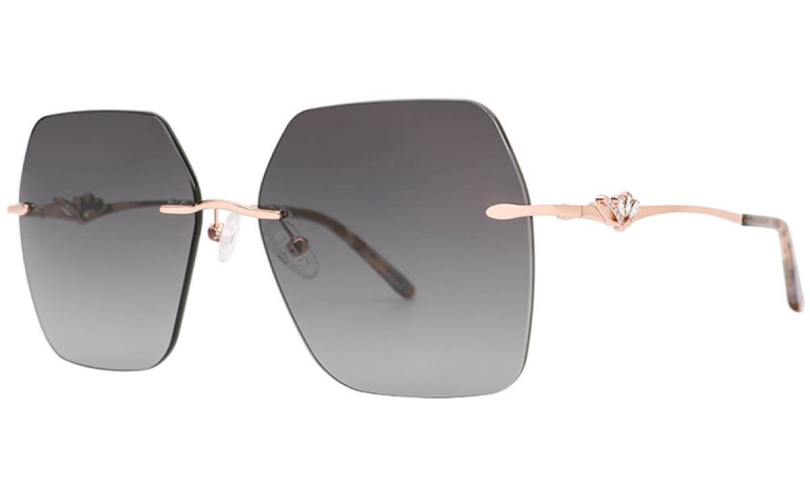 POLARD TS5002 - C3 - 1 - Skyoptic.gr POLARD TS5002 - C3 - 1