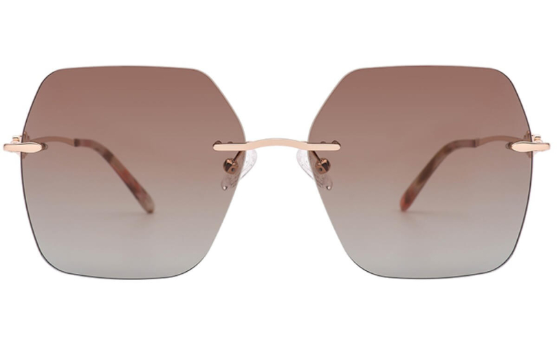 POLARD TS5002 - C4 - 2