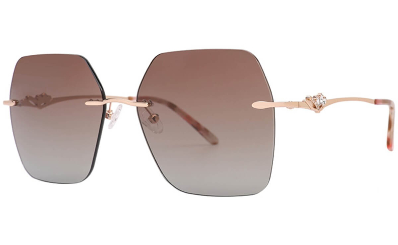 POLARD TS5002 - C4 - 1