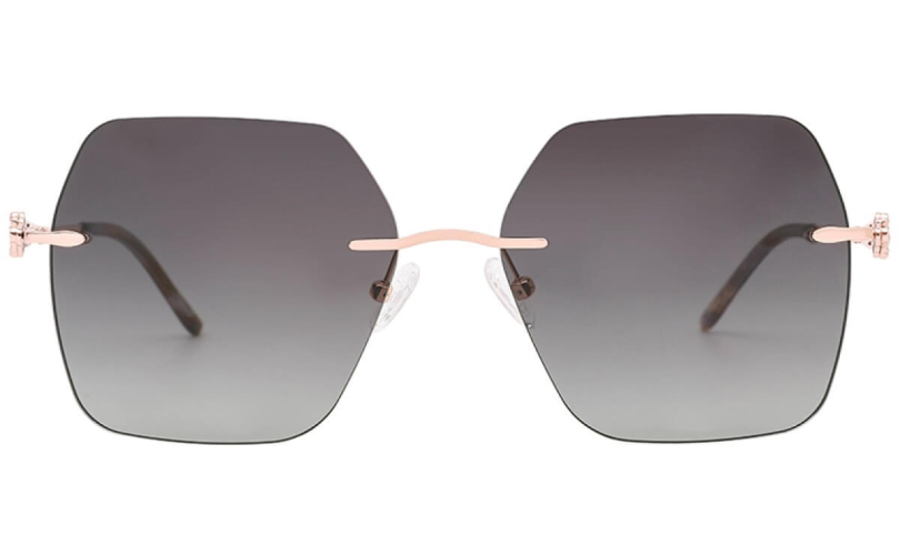 POLARD TS5010 - C3 - 2 - Skyoptic.gr POLARD TS5010 - C3 - 2