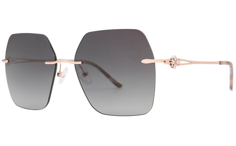 POLARD TS5010 - C3 - 1 - Skyoptic.gr POLARD TS5010 - C3 - 1