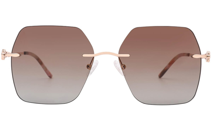 POLARD TS5010 - C4 - 2