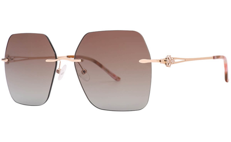 POLARD TS5010 - C4 - 1