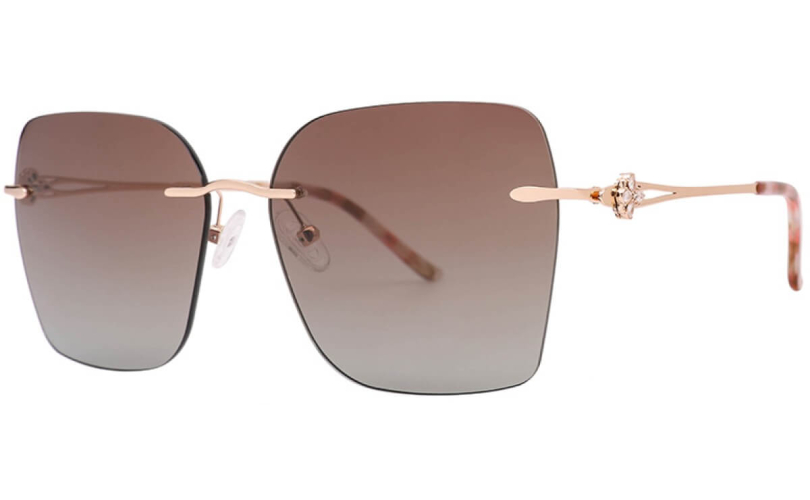 POLARD TS5009 - C4 - 1