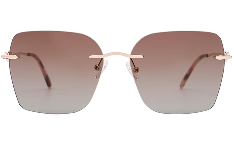 POLARD TS5001 - C4 - 2