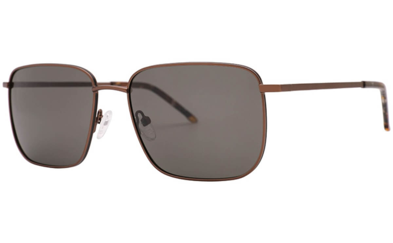 POLARD S4038 - C4 - 1