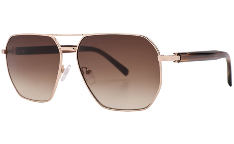 POLARD S6002 - C1 - 1