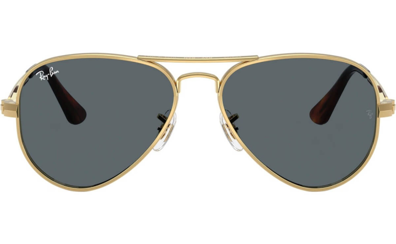 RAY-BAN RB3925 - 001/R5 - 3