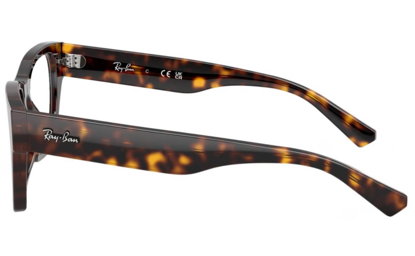 RAY-BAN RX5448 - 2012 - 2