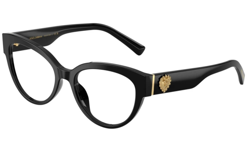 DOLCE & GABBANA DG3440 - 501