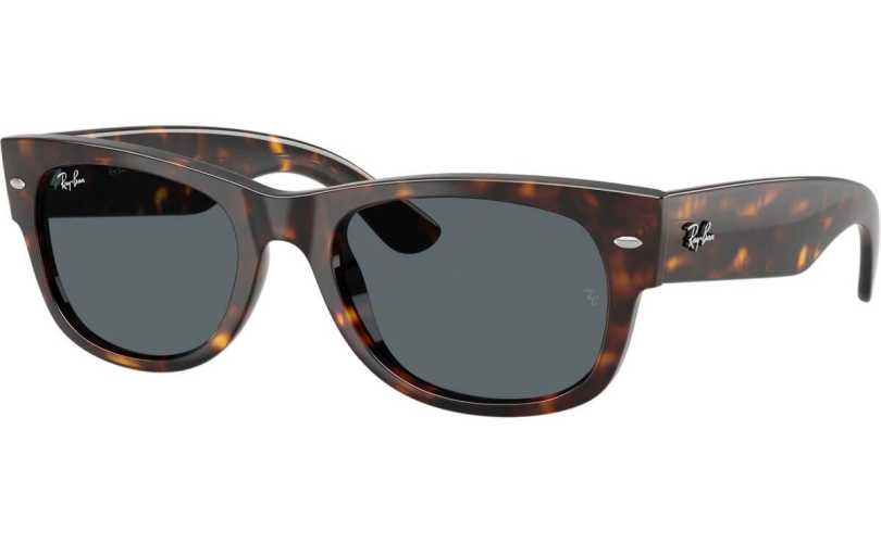 RAY-BAN RB0832S - 902/R5