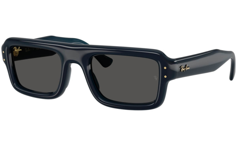 RAY-BAN RB4954 - 689587 - 1