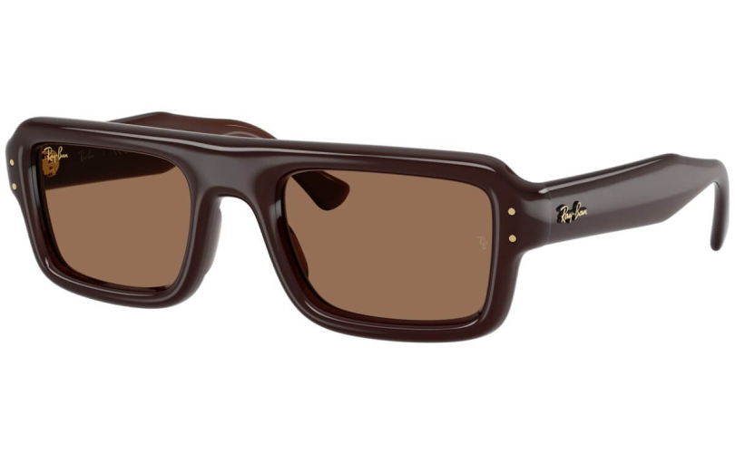RAY-BAN RB4954 - 689673 - 1
