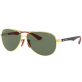 RAY-BAN RB8313-M - F008/71 - 61