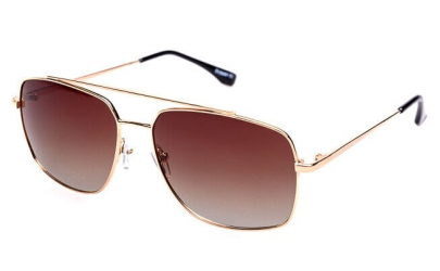 POLARD R499 - C4