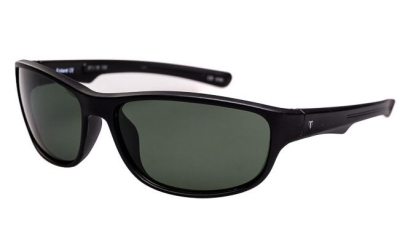 POLARD MOD143 - C1