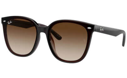 RAY-BAN RB4423D - 714/13