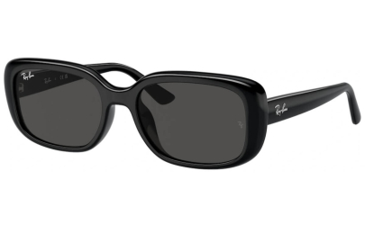 RAY-BAN RB4421D - 667787