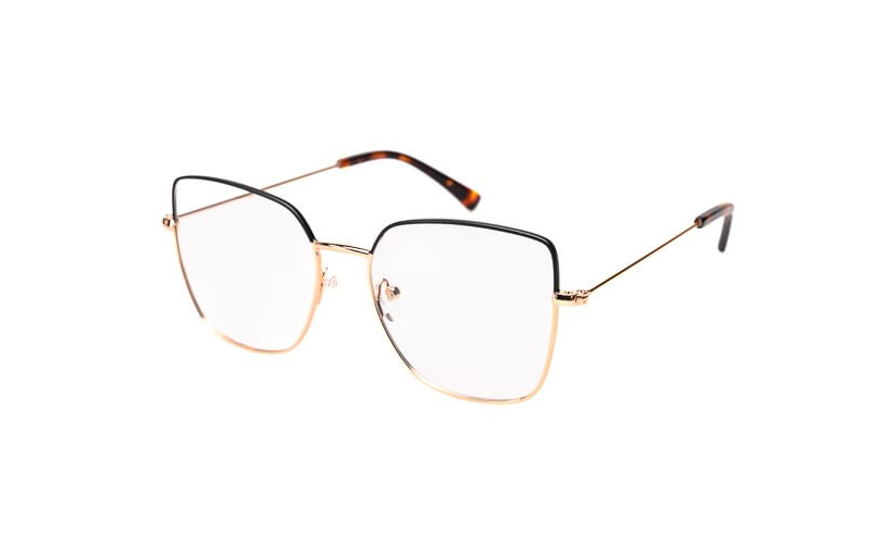 ERIKA M21902 - C1 - 1 - Skyoptic.gr ERIKA M21902 - C1 - 1
