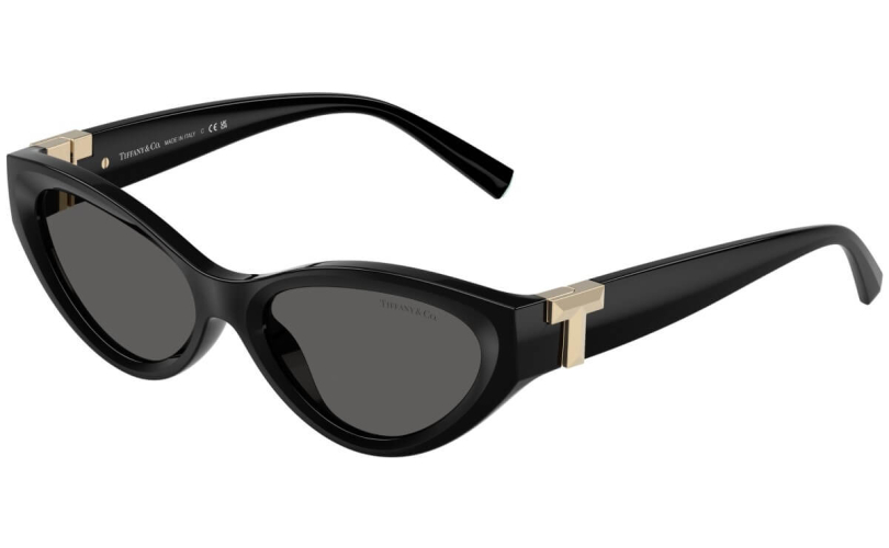 TIFFANY & CO. TF4225U - 8001S4 - 1