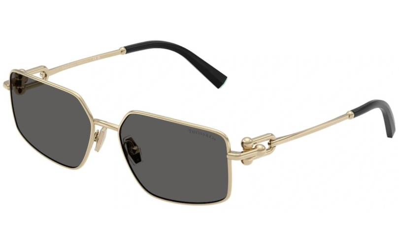 TIFFANY & CO. TF3111 - 6021S4 - 1