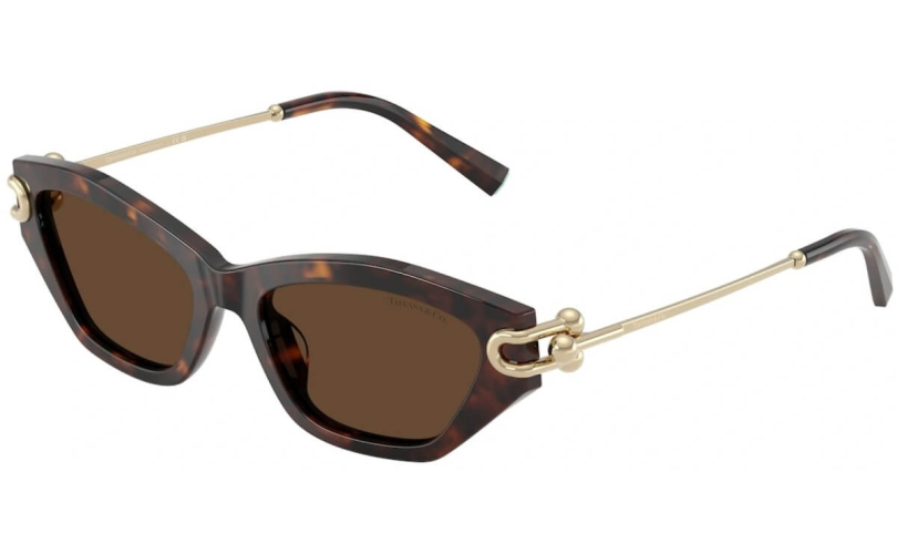 TIFFANY & CO. TF4231U - 80153G - 1