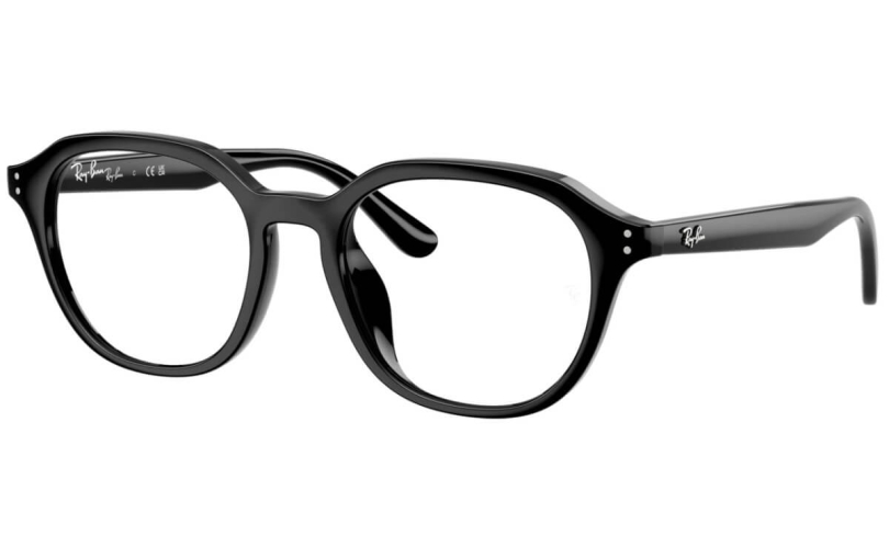 RAY-BAN RX7259D - 2000